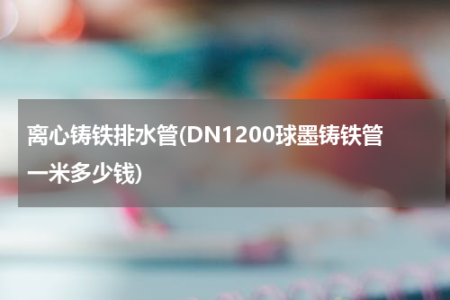 离心铸铁排水管(DN1200球墨铸铁管一米多少钱)