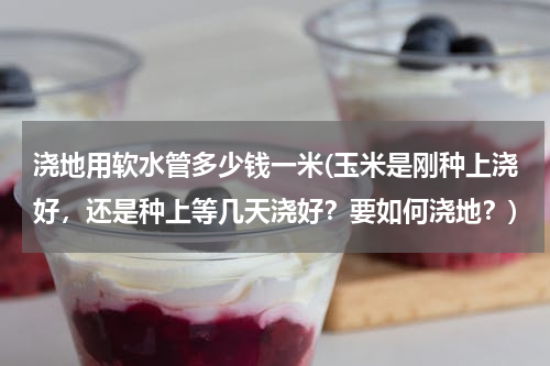 浇地用软水管多少钱一米(玉米是刚种上浇好，还是种上等几天浇好？要如何浇地？)