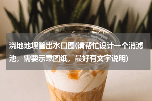 浇地地埋管出水口图(请帮忙设计一个消滤池，需要示意图纸，最好有文字说明)
