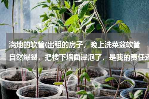 浇地的软管(出租的房子，晚上洗菜盆软管自然爆裂，把楼下墙面浸泡了，是我的责任还是房东的责任。)