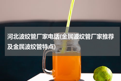 河北波纹管厂家电话(金属波纹管厂家推荐及金属波纹管特点)