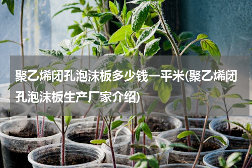 聚乙烯闭孔泡沫板多少钱一平米(聚乙烯闭孔泡沫板生产厂家介绍)