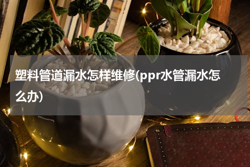塑料管道漏水怎样维修(ppr水管漏水怎么办)