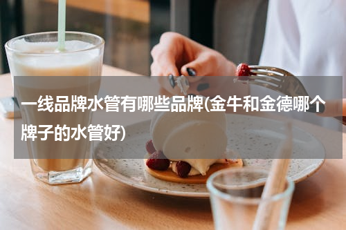 一线品牌水管有哪些品牌(金牛和金德哪个牌子的水管好)