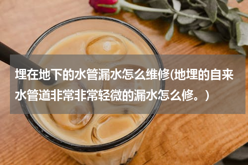埋在地下的水管漏水怎么维修(地埋的自来水管道非常非常轻微的漏水怎么修。)