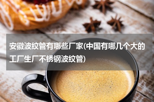 安徽波纹管有哪些厂家(中国有哪几个大的工厂生厂不锈钢波纹管)