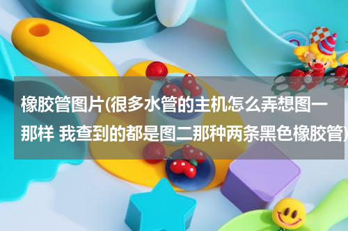 橡胶管图片(很多水管的主机怎么弄想图一那样 我查到的都是图二那种两条黑色橡胶管)