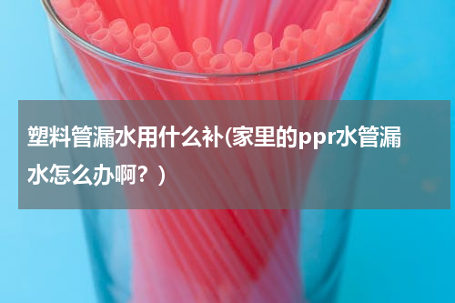 塑料管漏水用什么补(家里的ppr水管漏水怎么办啊？)