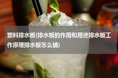 塑料排水板(排水板的作用和用途排水板工作原理排水板怎么铺)