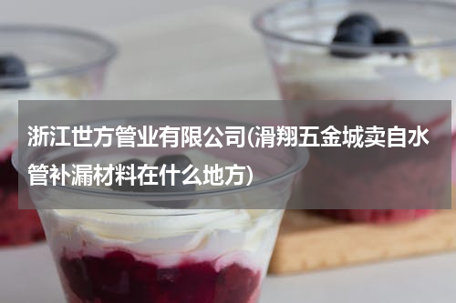 浙江世方管业有限公司(滑翔五金城卖自水管补漏材料在什么地方)