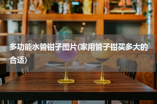 多功能水管钳子图片(家用管子钳买多大的合适)