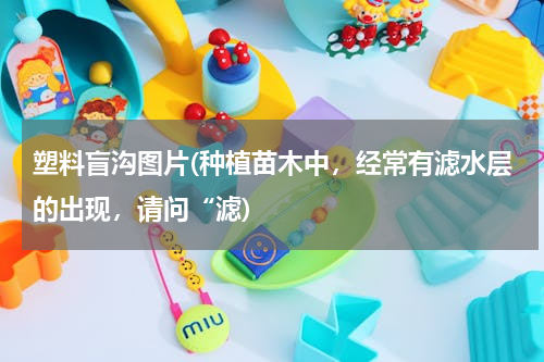 塑料盲沟图片(种植苗木中，经常有滤水层的出现，请问“滤)