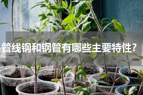 管线钢和钢管有哪些主要特性？