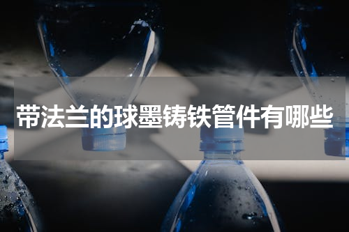 带法兰的球墨铸铁管件有哪些
