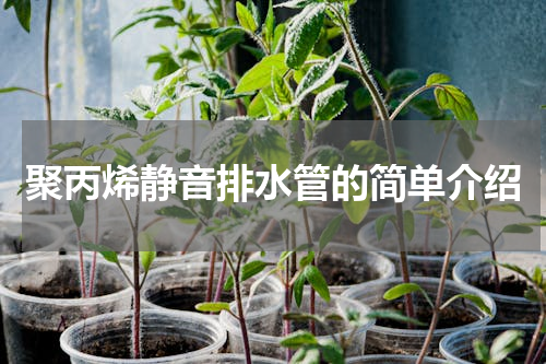 聚丙烯静音排水管的简单介绍