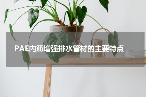 PAE内筋增强排水管材的主要特点