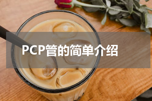 PCP管的简单介绍