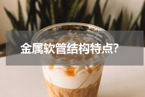 金属软管结构特点？
